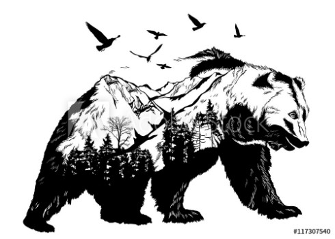 Picture of Hand drawn bear for your design wildlife concept